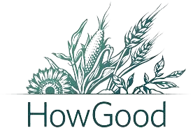 download-3-removebg-preview How Good logo